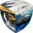 V-CUBE Whales