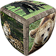 V-CUBE Wild Animals